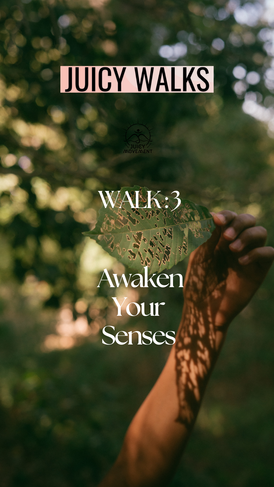 Juicy Walks- Audio Walks for Healing, Movement, Presence & Nature.